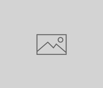 E-Tech Consulting